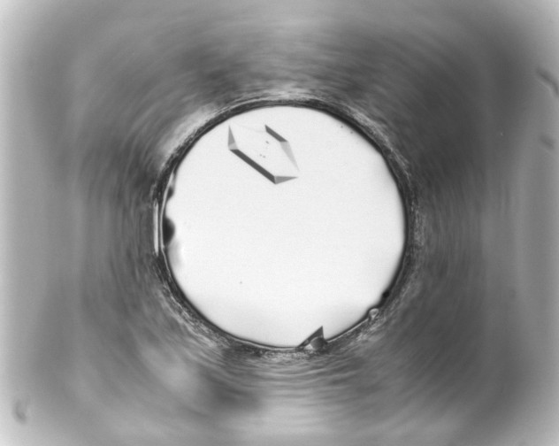 X0000100231171200806271743