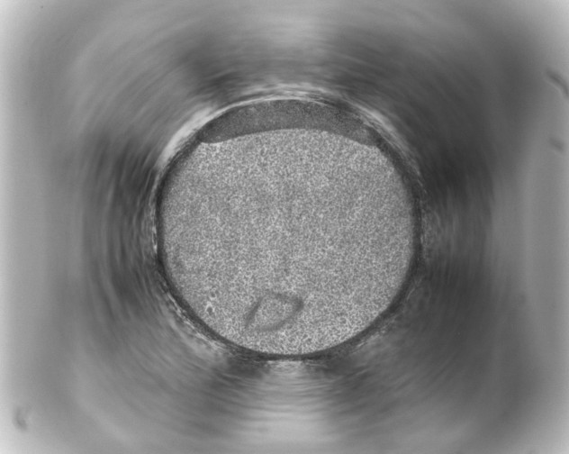 X0000100231172200806271743