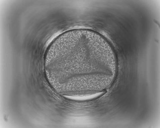 X0000100231173200806271743