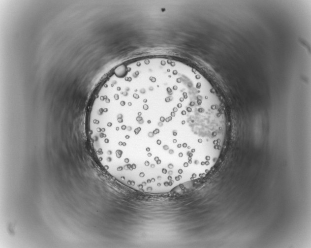 X0000100231174200806271743