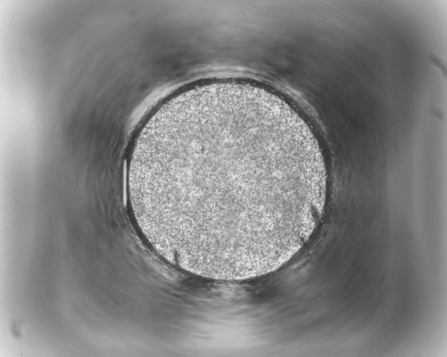 X0000100231175200806271743