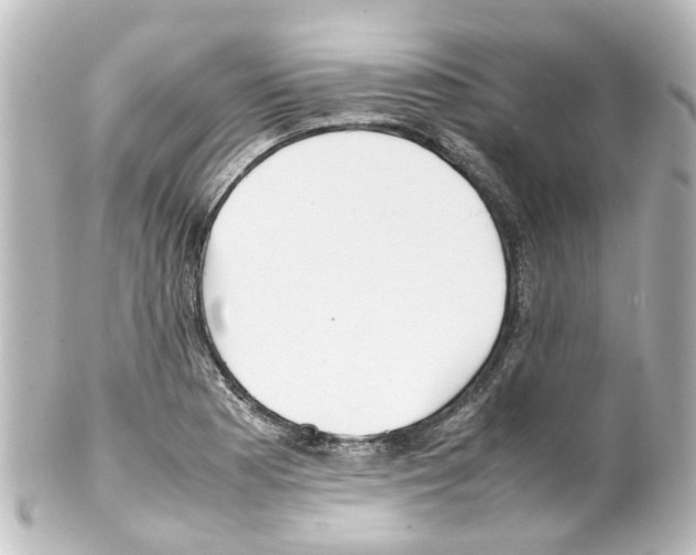 X0000100231177200806271743