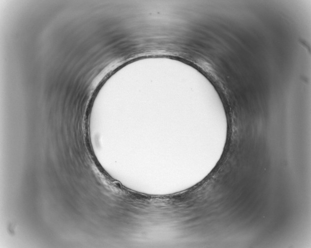 X0000100231181200806271743
