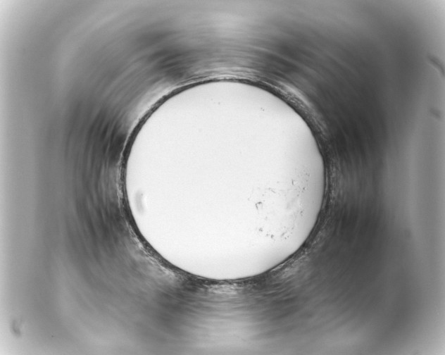 X0000100231182200806271743