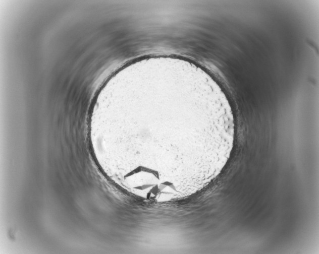 X0000100231183200806271743