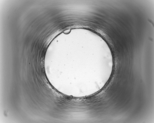 X0000100231185200806271743