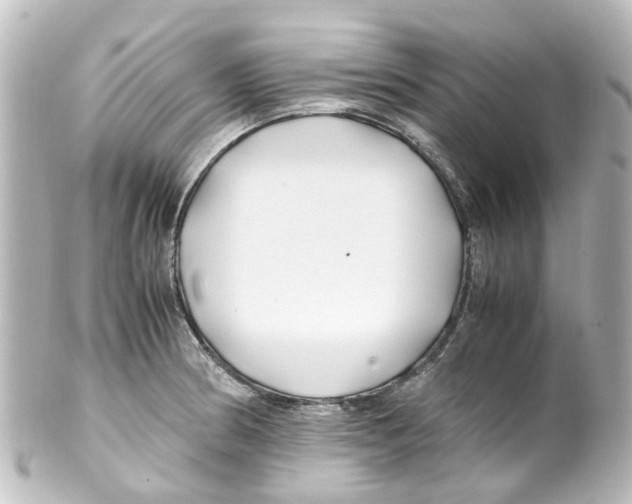 X0000100231186200806271743