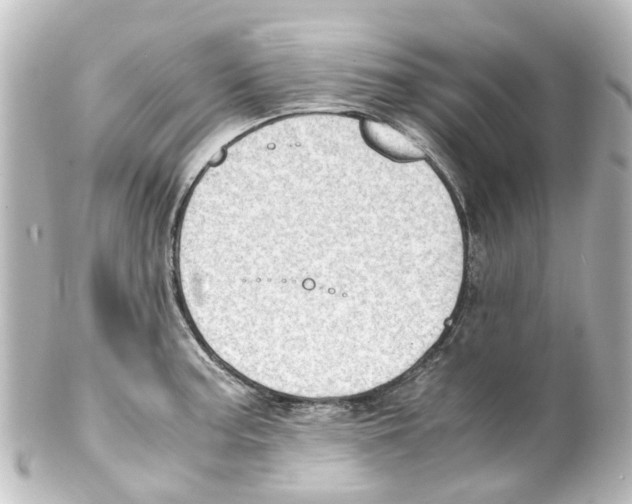 X0000100231187200806271743