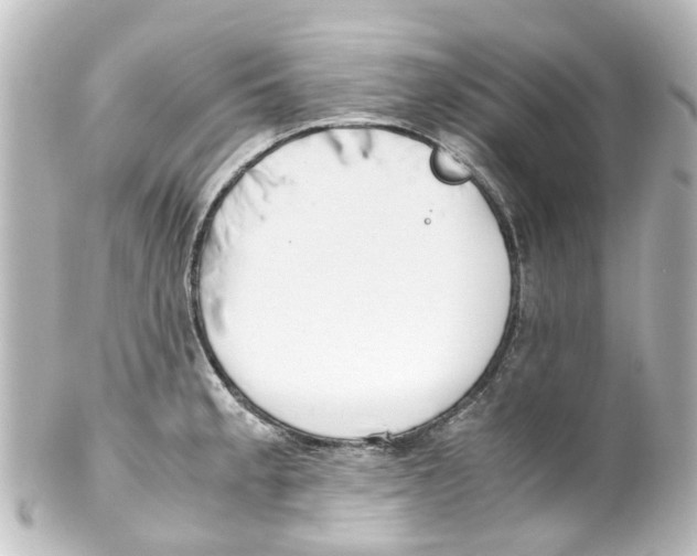 X0000100231189200806271743