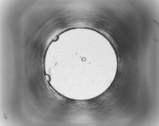 X0000100231191200806271743