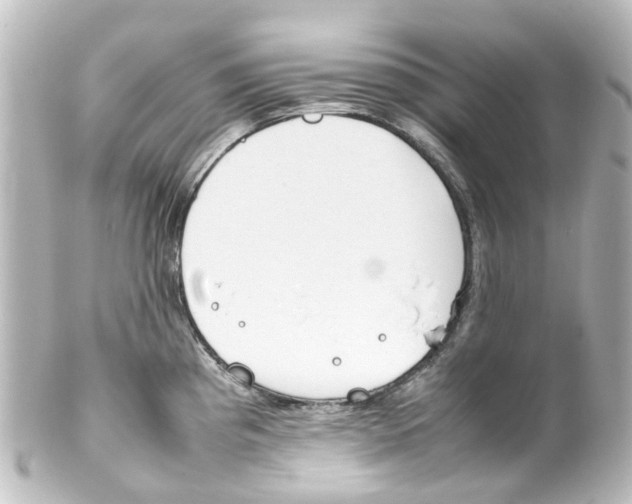 X0000100231193200806271743