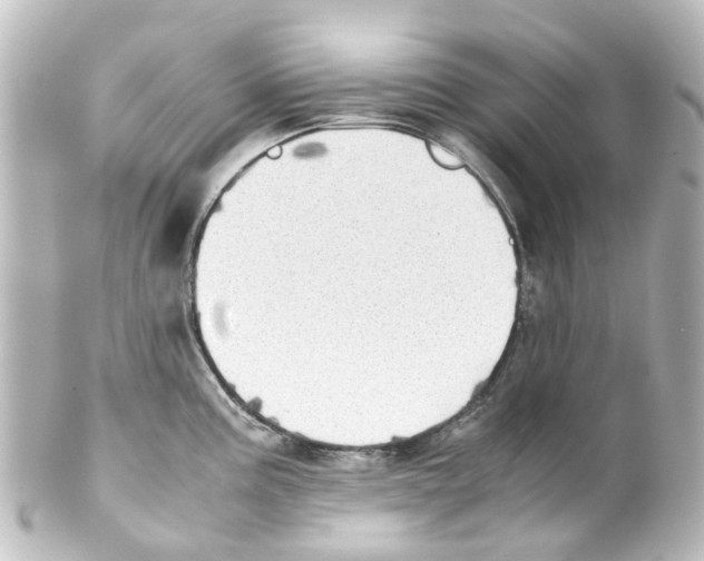 X0000100231195200806271743