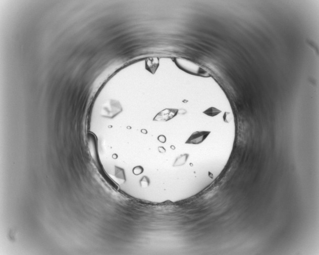 X0000100231196200806271743