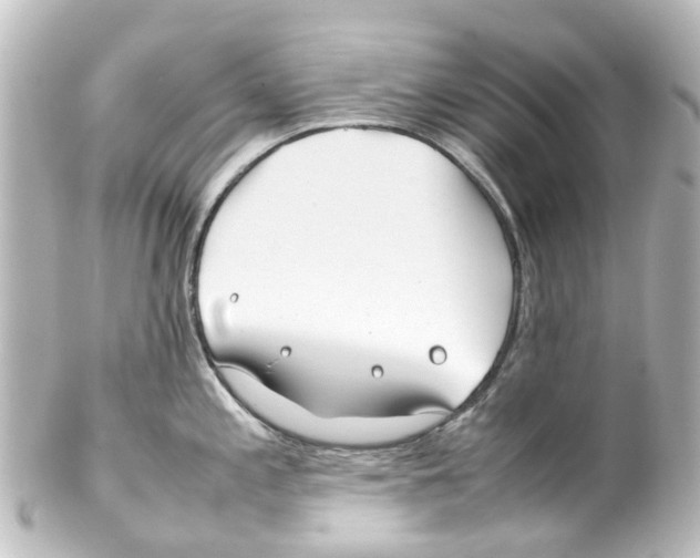 X0000100231197200806271743