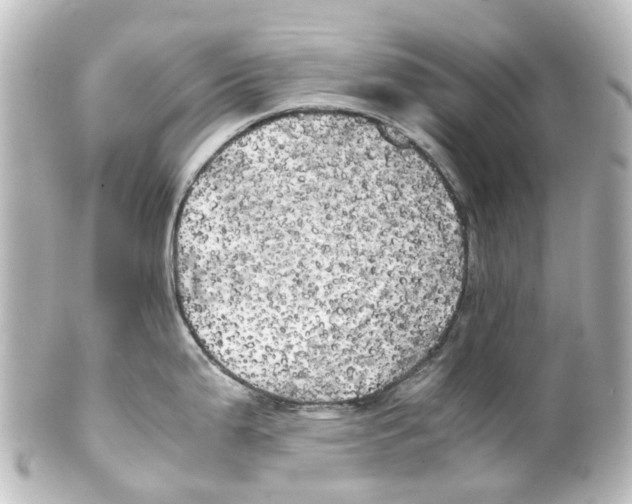 X0000100231199200806271743