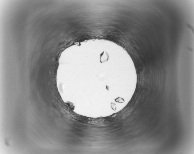 X0000100231201200806271742