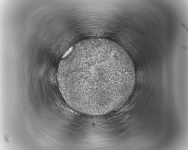 X0000100231202200806271742