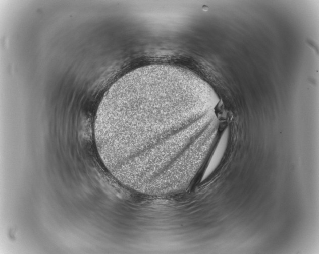 X0000100231204200806271742