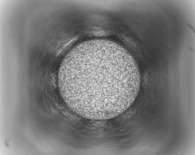 X0000100231205200806271742