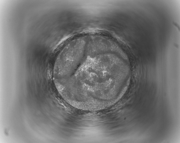 X0000100231206200806271742