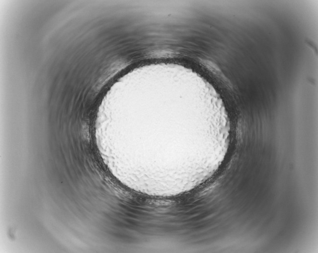 X0000100231209200806271742