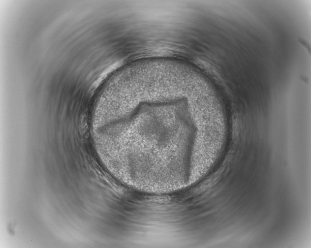 X0000100231210200806271742
