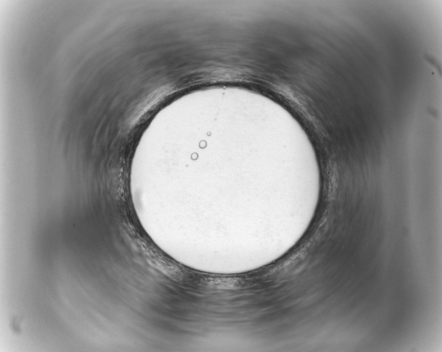X0000100231211200806271742