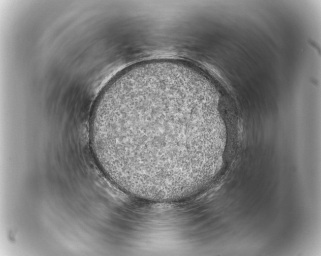 X0000100231212200806271742