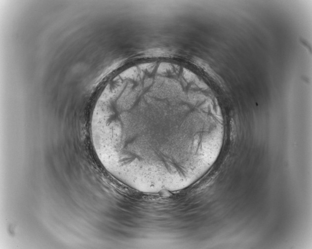 X0000100231213200806271742