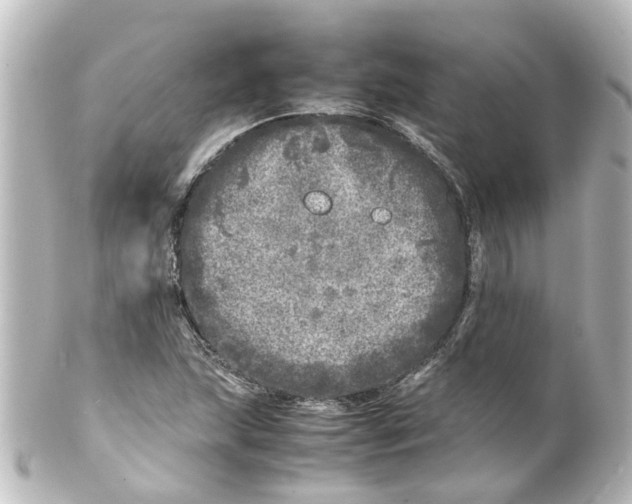 X0000100231215200806271742