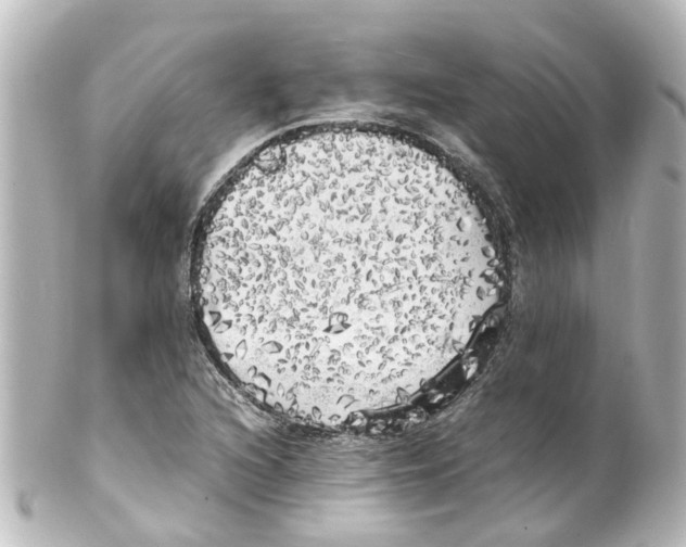 X0000100231216200806271742