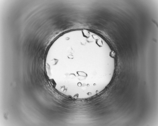 X0000100231220200806271742