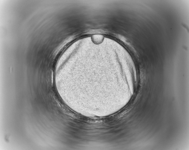 X0000100231221200806271742