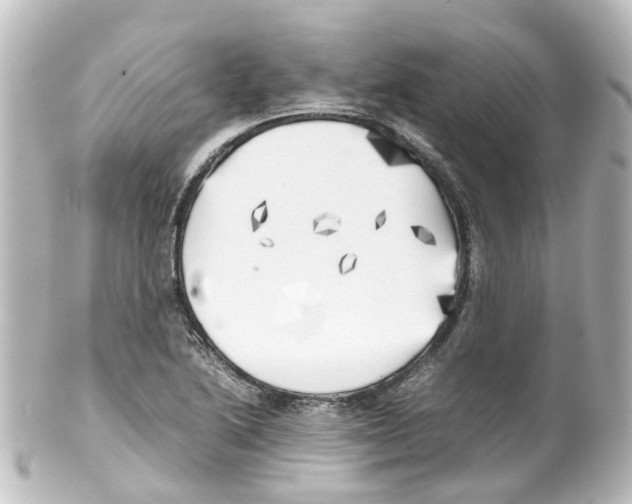 X0000100231222200806271742