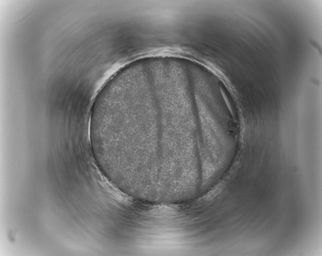 X0000100231224200806271742