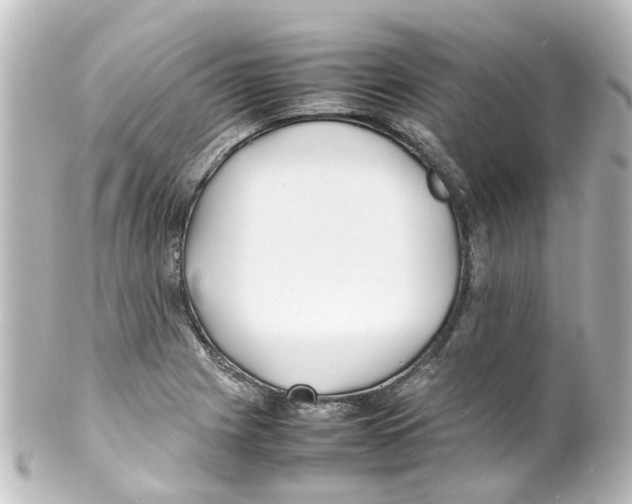 X0000100231225200806271742
