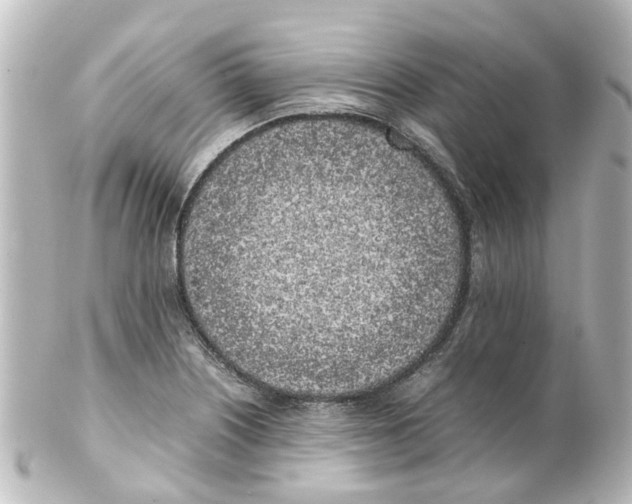 X0000100231226200806271742