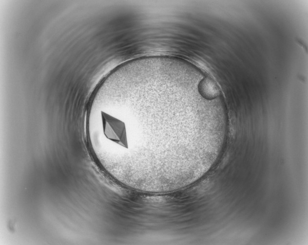 X0000100231227200806271742