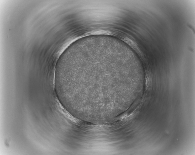 X0000100231228200806271742