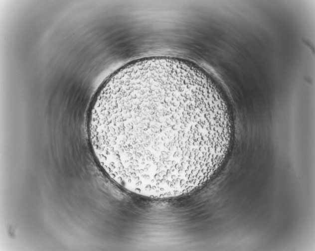 X0000100231230200806271742