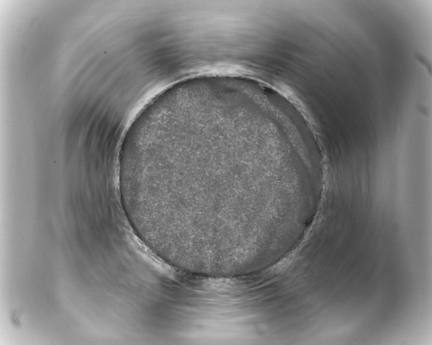 X0000100231232200806271742