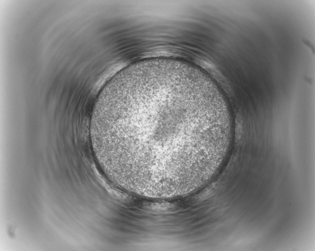 X0000100231233200806271742
