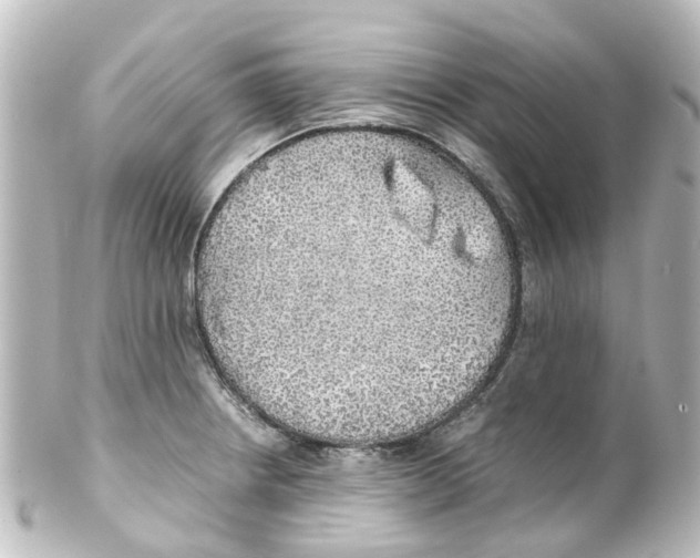 X0000100231234200806271742