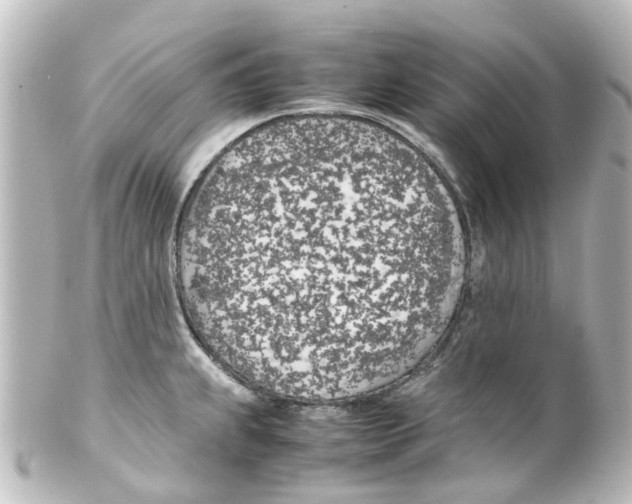 X0000100231239200806271742