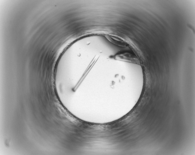 X0000100231240200806271742