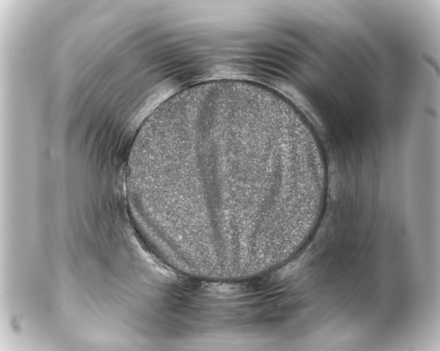 X0000100231241200806271742