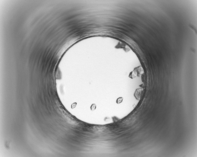 X0000100231242200806271742