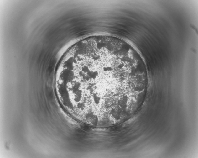 X0000100231245200806271742