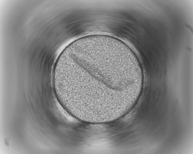 X0000100231246200806271742