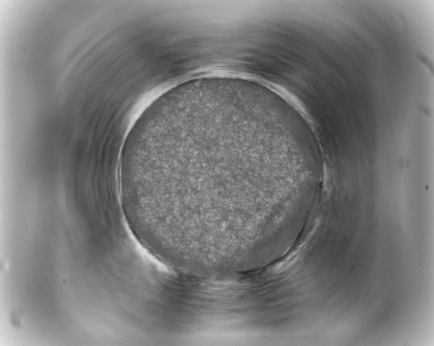 X0000100231247200806271743